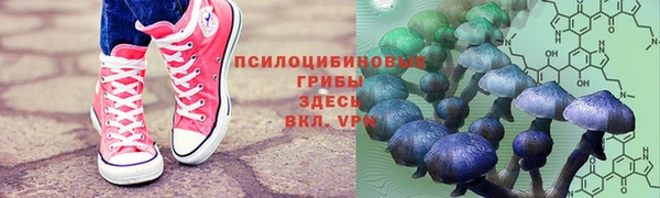 гидра Гусев