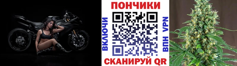 Шишки марихуана ГИДРОПОН  купить наркотик  Яровое 